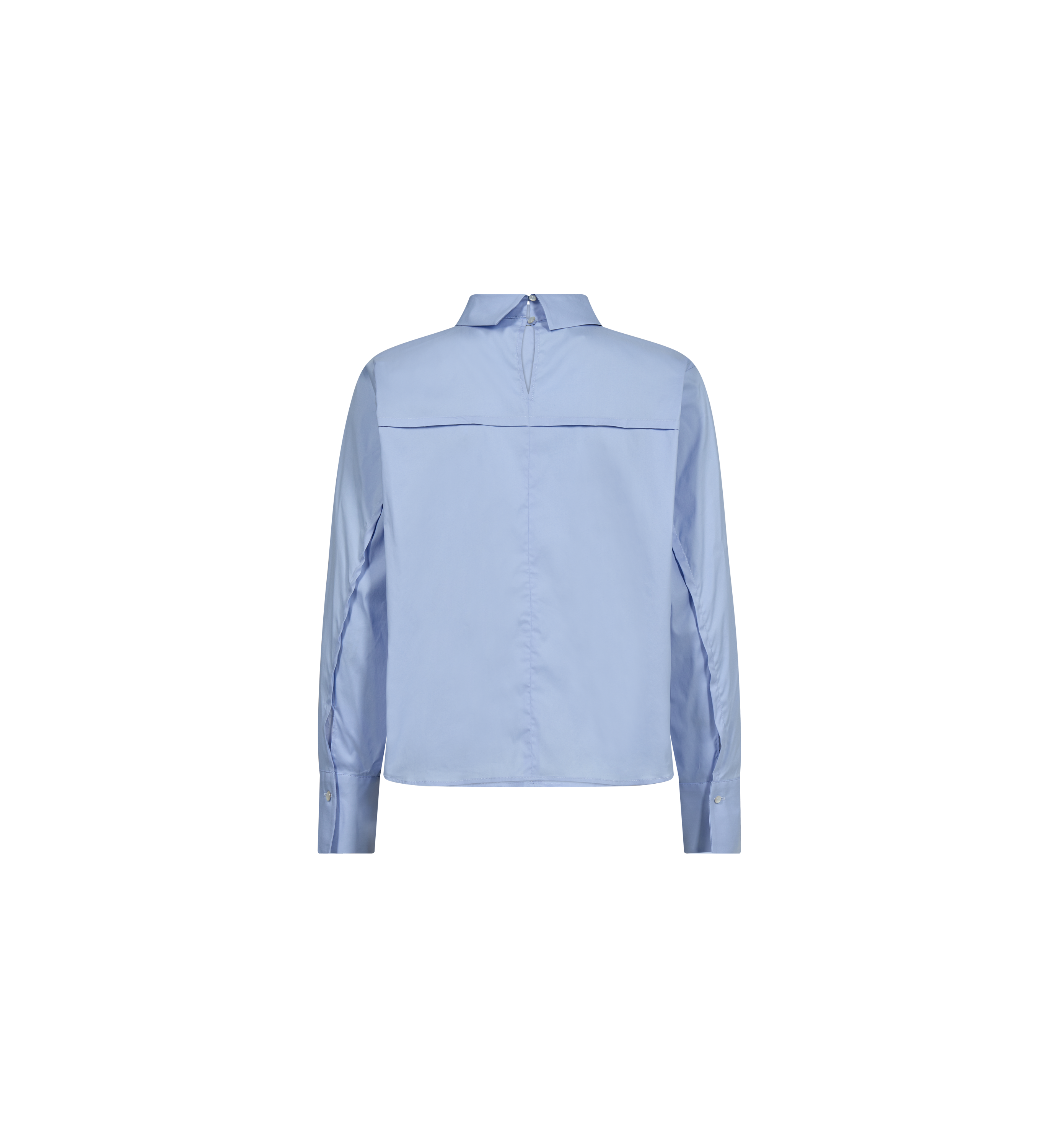 Packshot / Brunnera Blue / Back